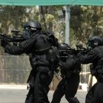 Download Military SWAT PFP