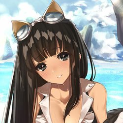 Download Anime Granblue Fantasy PFP