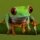 red-eyed tree frog