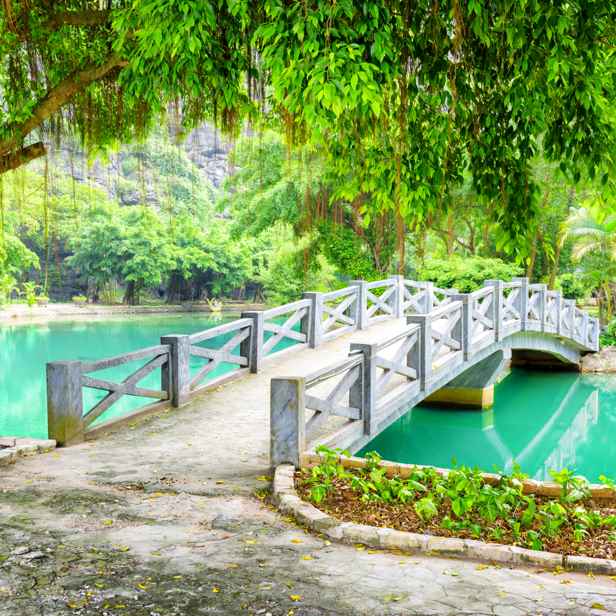 Park with Bridge in Vietnam