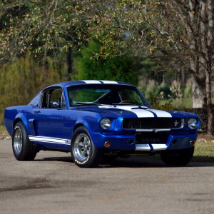 muscle car Shelby Mustang GT 350SR vehicle Shelby Mustang GT 350 PFP