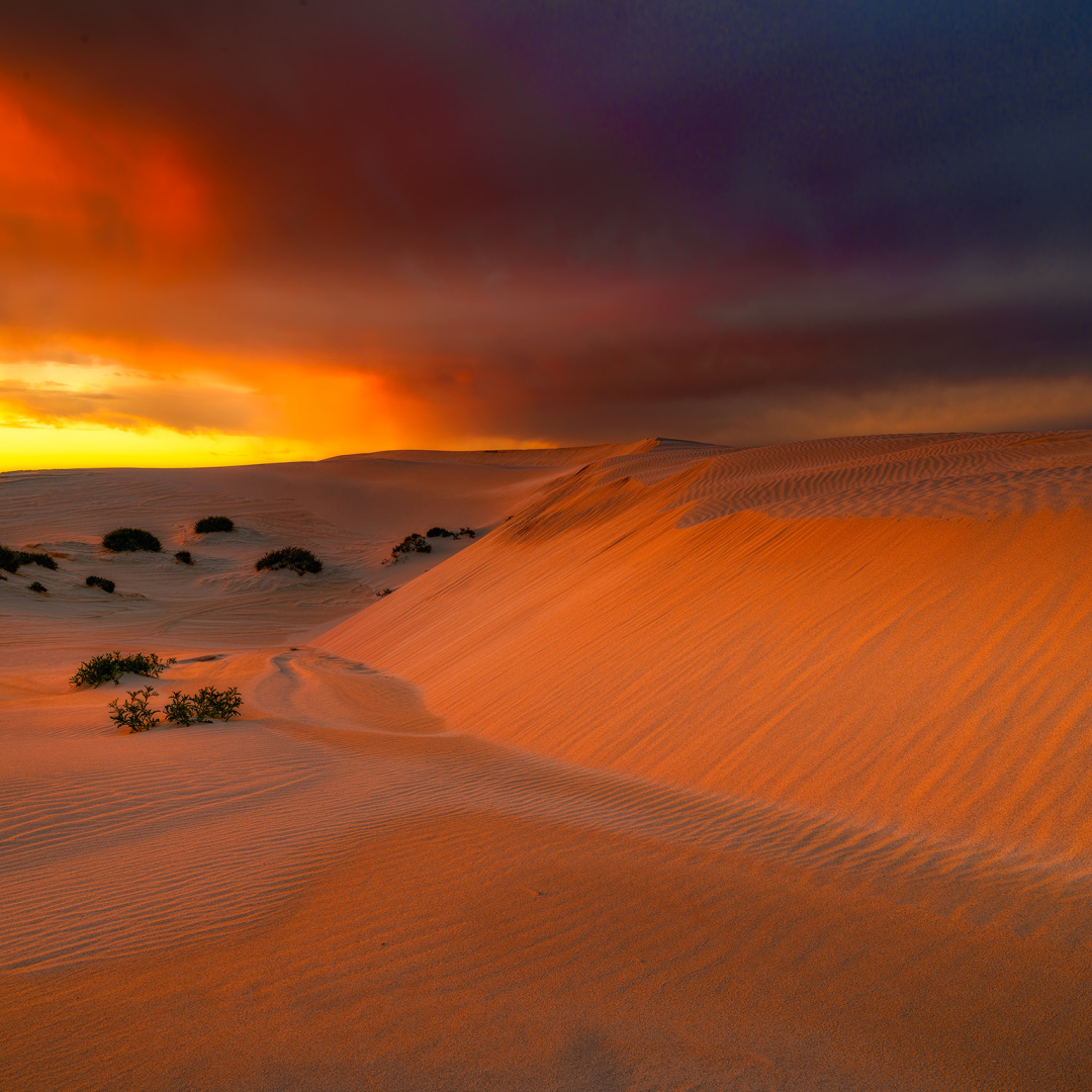 Eucla Sand Dune Sunset in Western Australia. by Bjorn Baklien
