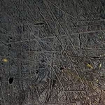 video game World of Tanks PFP