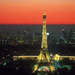 Paris man made PFP
