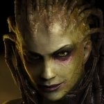 Download Video Game Starcraft PFP