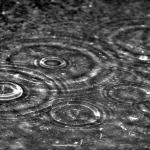 photography rain PFP