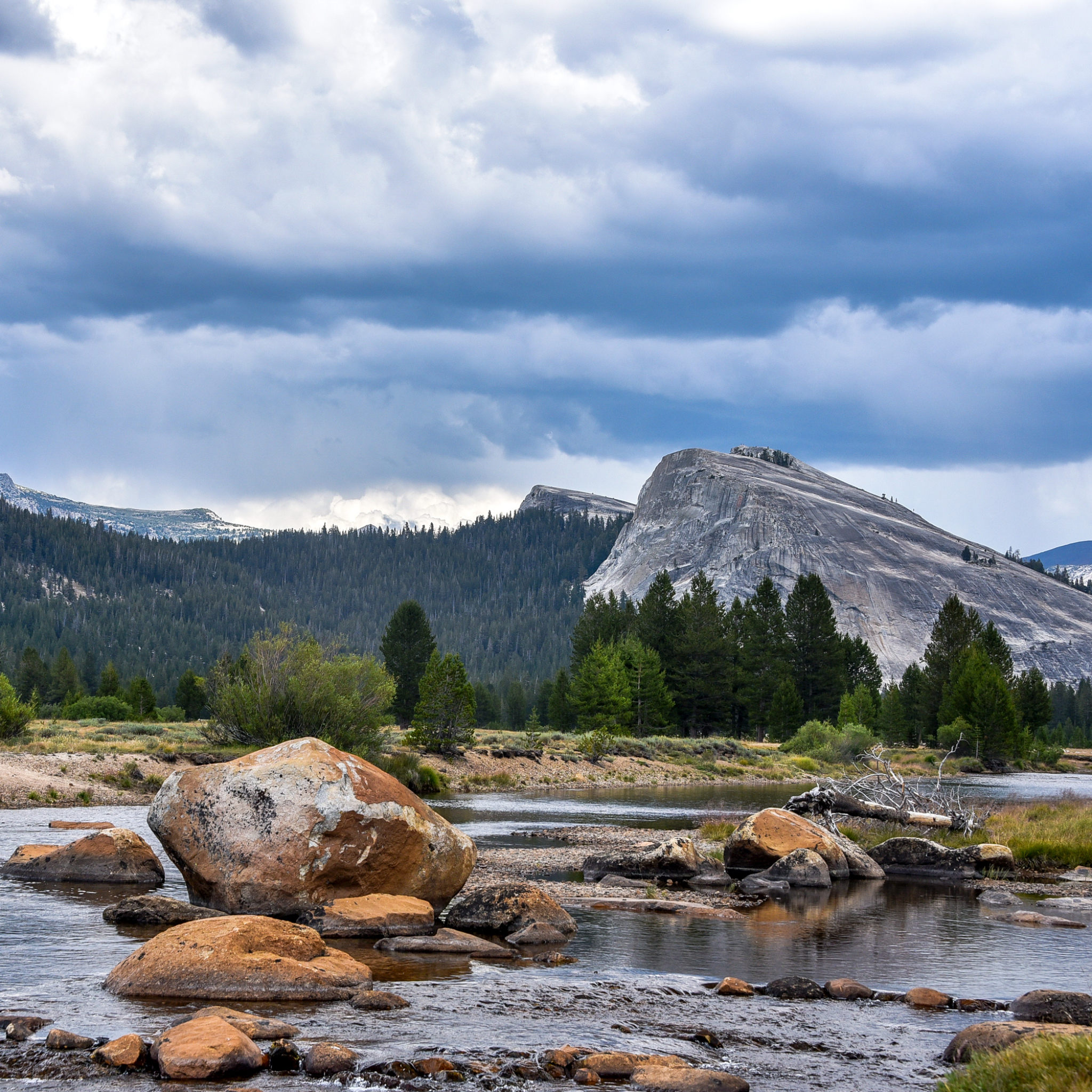 Yosemite National Park Pfp