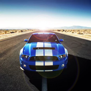 Ford Mustang Shelby GT500 PFP