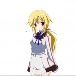 Download Anime Infinite Stratos PFP