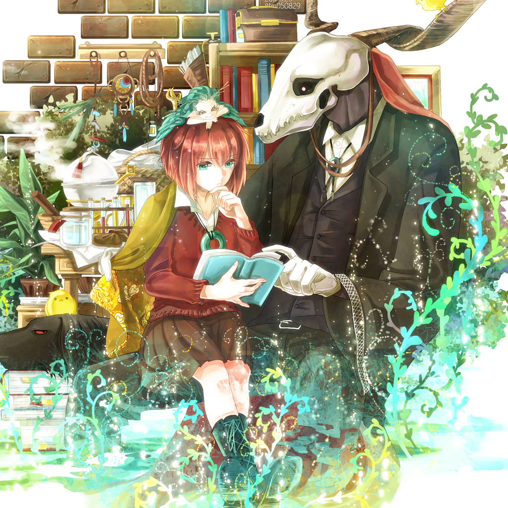 Download The Ancient Magus' Bride Elias Ainsworth Chise Hatori Anime PFP