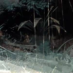 video game Dead Island PFP