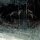 Dead Island