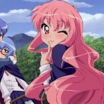 Anime The Familiar of Zero PFP