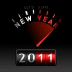 holiday New Year 2011 PFP