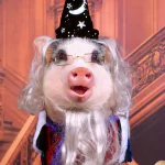  Pigs dressed in clothes