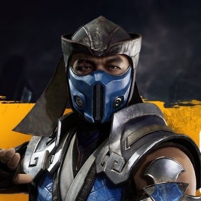 Download Sub-Zero (Mortal Kombat) Mortal Kombat 11 Video Game PFP