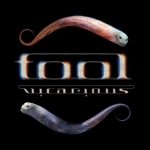 Download Music Tool (Music) PFP