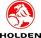 vehicle Holden PFP