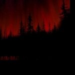 Download Dark Forest PFP