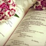 Download Photography Still Life PFP