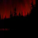 dark forest PFP
