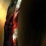 video game Prince Of Persia PFP