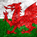 Misc flag PFP