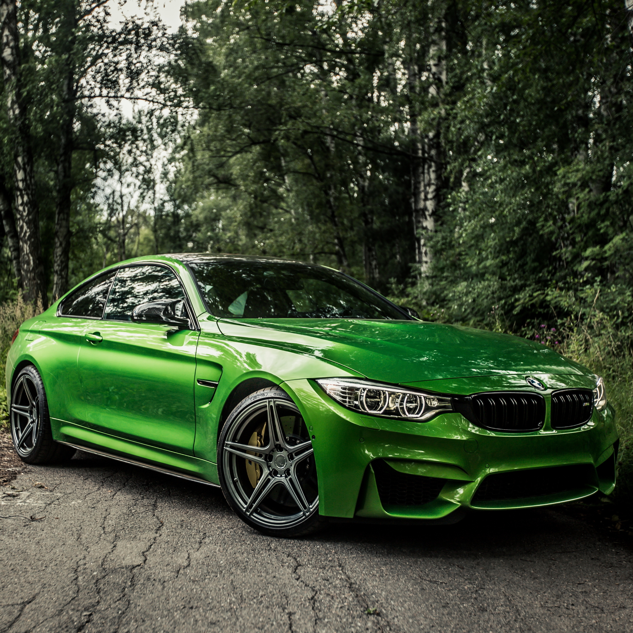 Green BMW M4 in the Woods