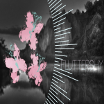 Download TV Show My Little Pony: Friendship Is Magic PFP