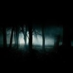 Download Dark Forest PFP