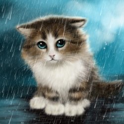 Download Rain Blue Eyes Cat Kitten Painting Animal PFP