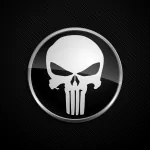 Comic Punisher PFP