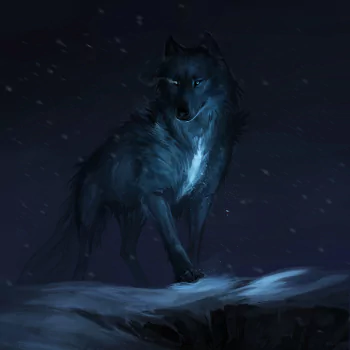 night wolf fantasy PFP