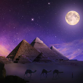 camel Egypt pyramid man made PFP