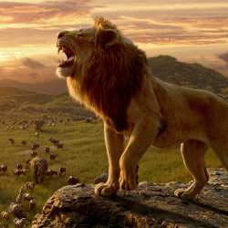 The Lion King (2019) Pfp