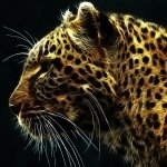 Download Animal Cheetah PFP