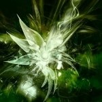 Download Abstract Green Abstract Green PFP