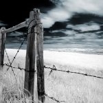 Download Man Made Fence PFP