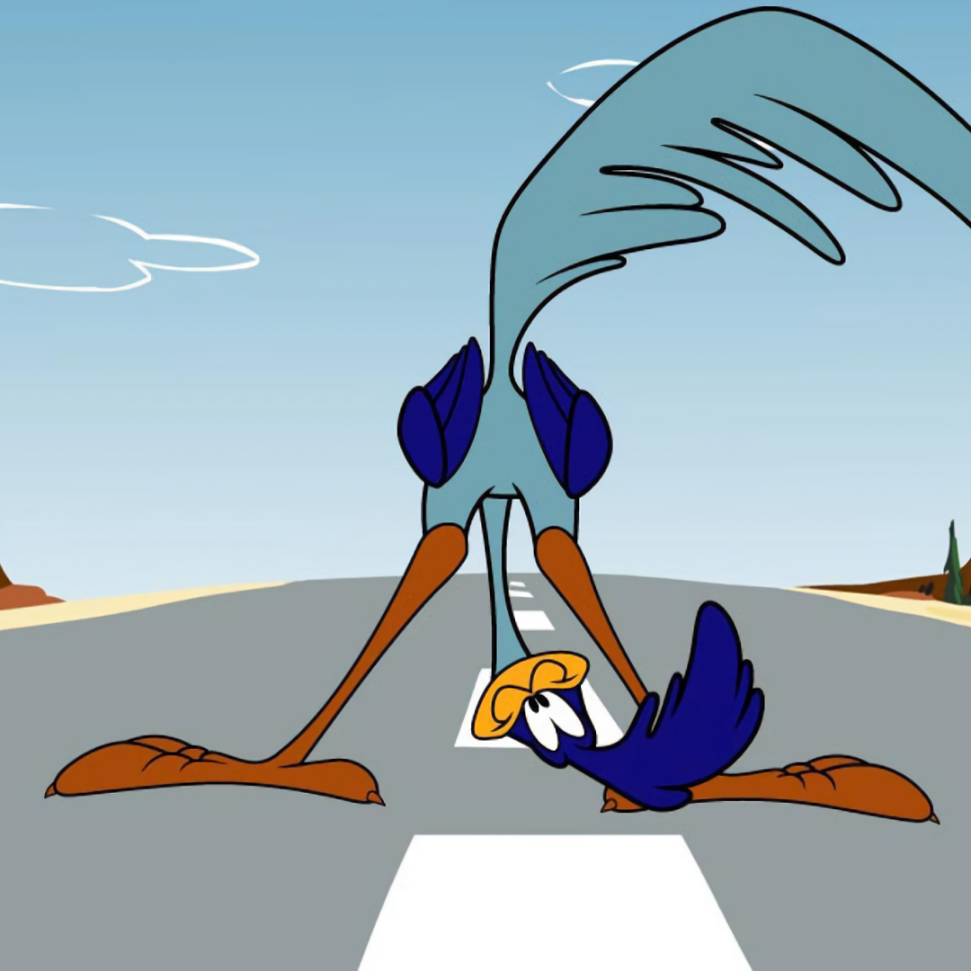 Wile E. Coyote And The Road Runner PFP