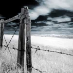 man made fence PFP
