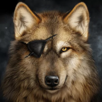  Wolf with an Eye Patch