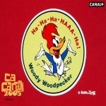 Download TV Show Woody Woodpecker PFP