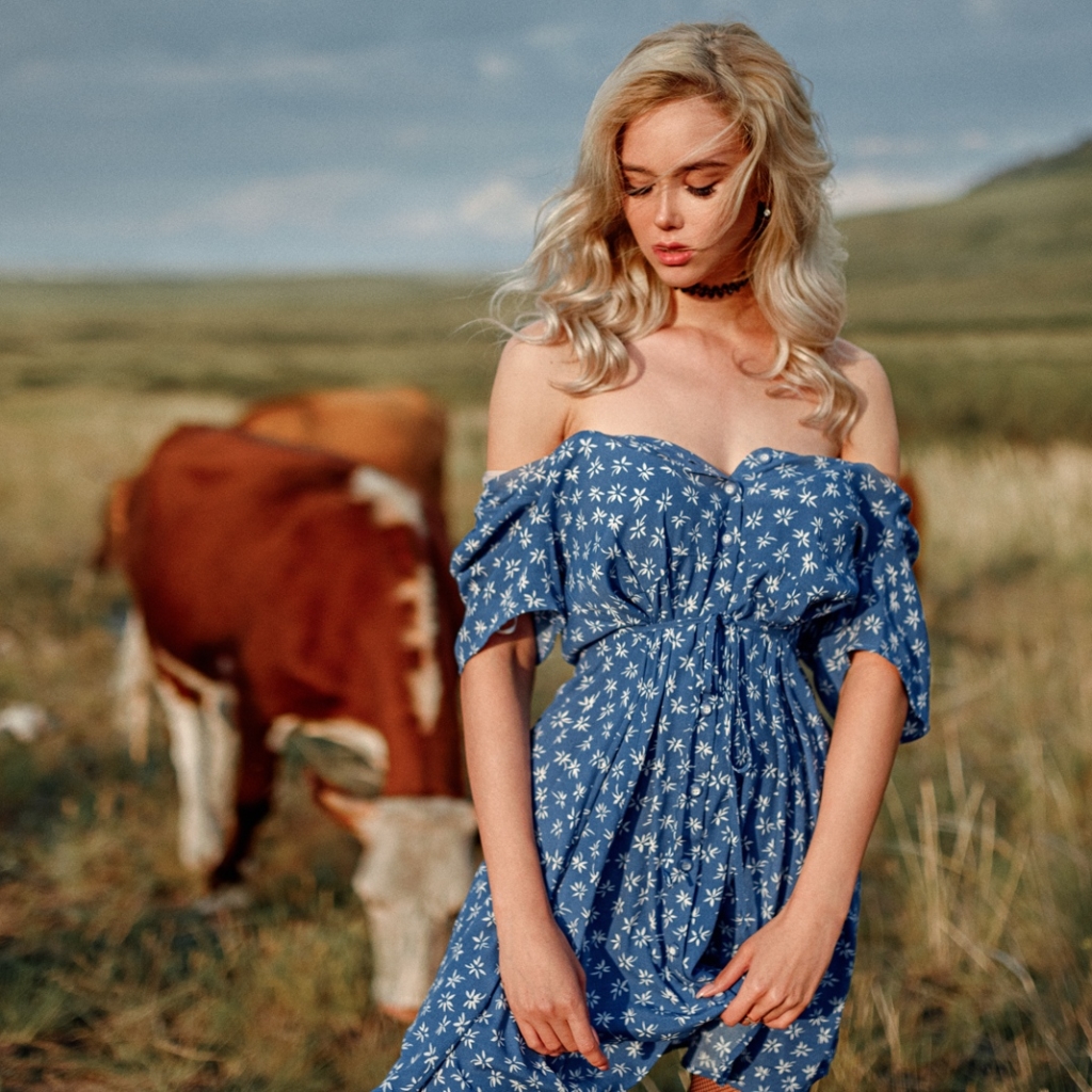 Фотосессия с коровой в поле