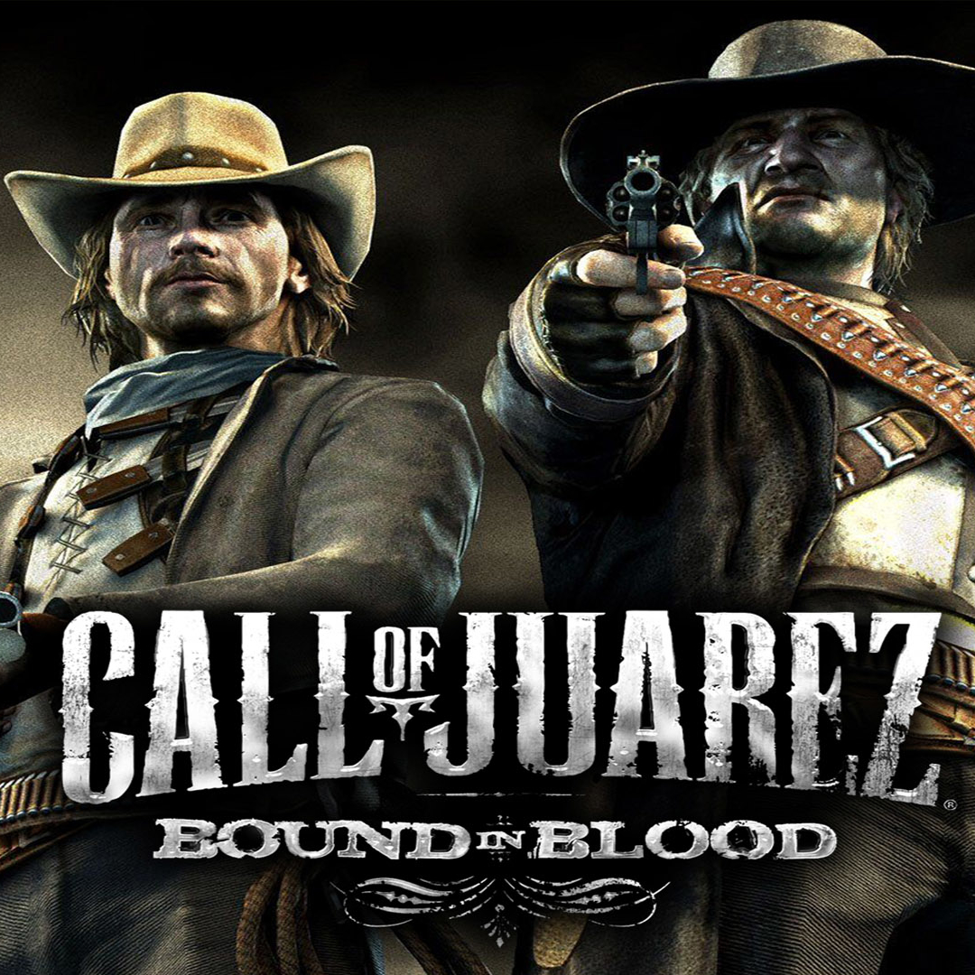 Call Of Juarez: Bound In Blood Pfp