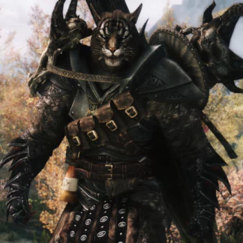 video game The Elder Scrolls V: Skyrim PFP