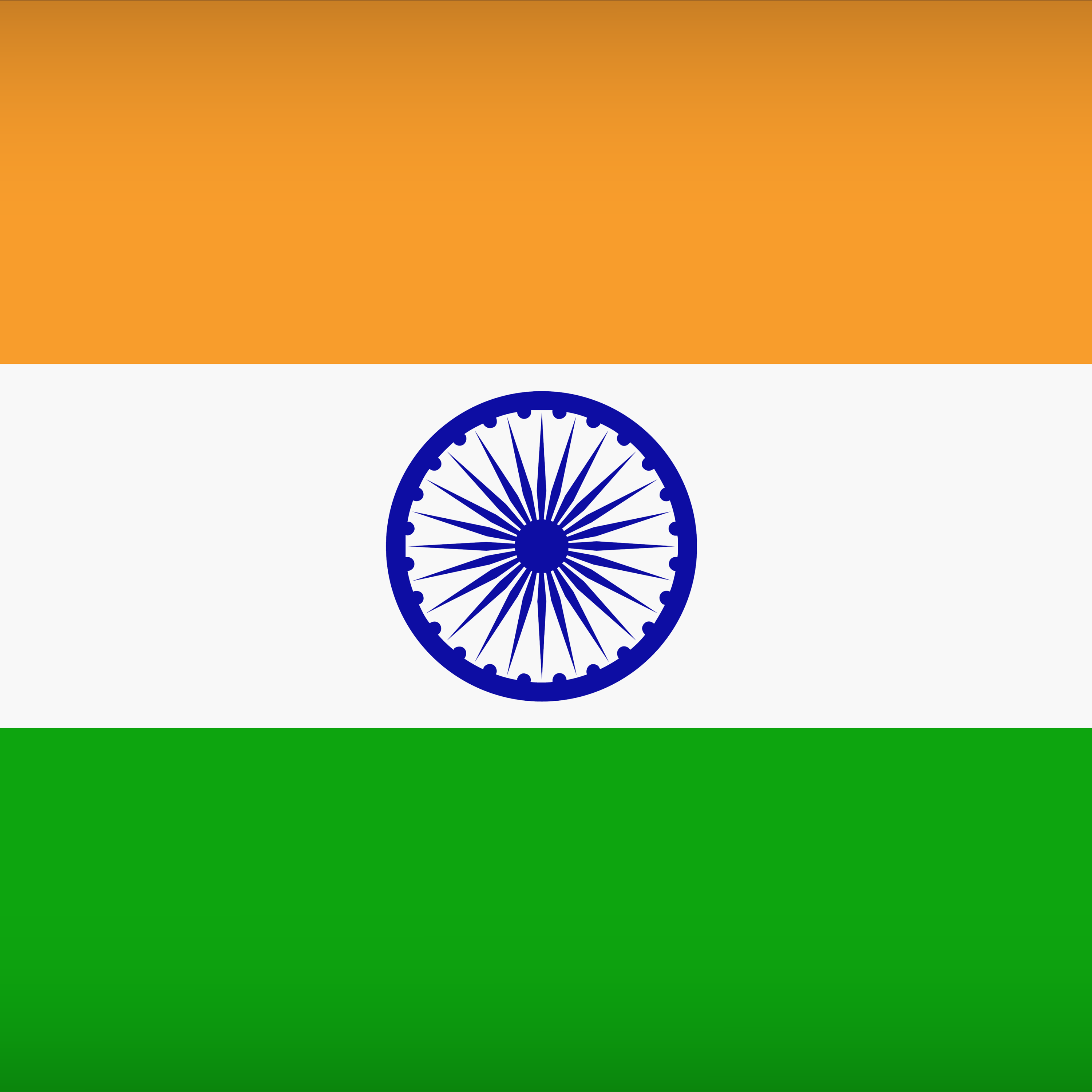 The National Flag of India by Paul Brennan
