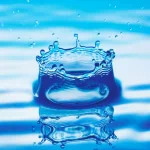 nature water drop PFP
