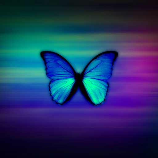 Butterfly Pfp