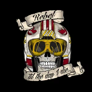 Star Wars skull helmet Rebel Alliance (Star Wars) movie PFP
