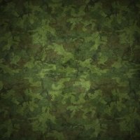 10+ Camouflage pfp